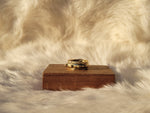 Aphelion Ring