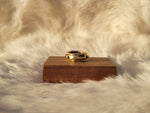Aphelion Ring