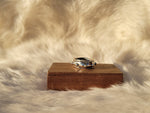 Aphelion Ring
