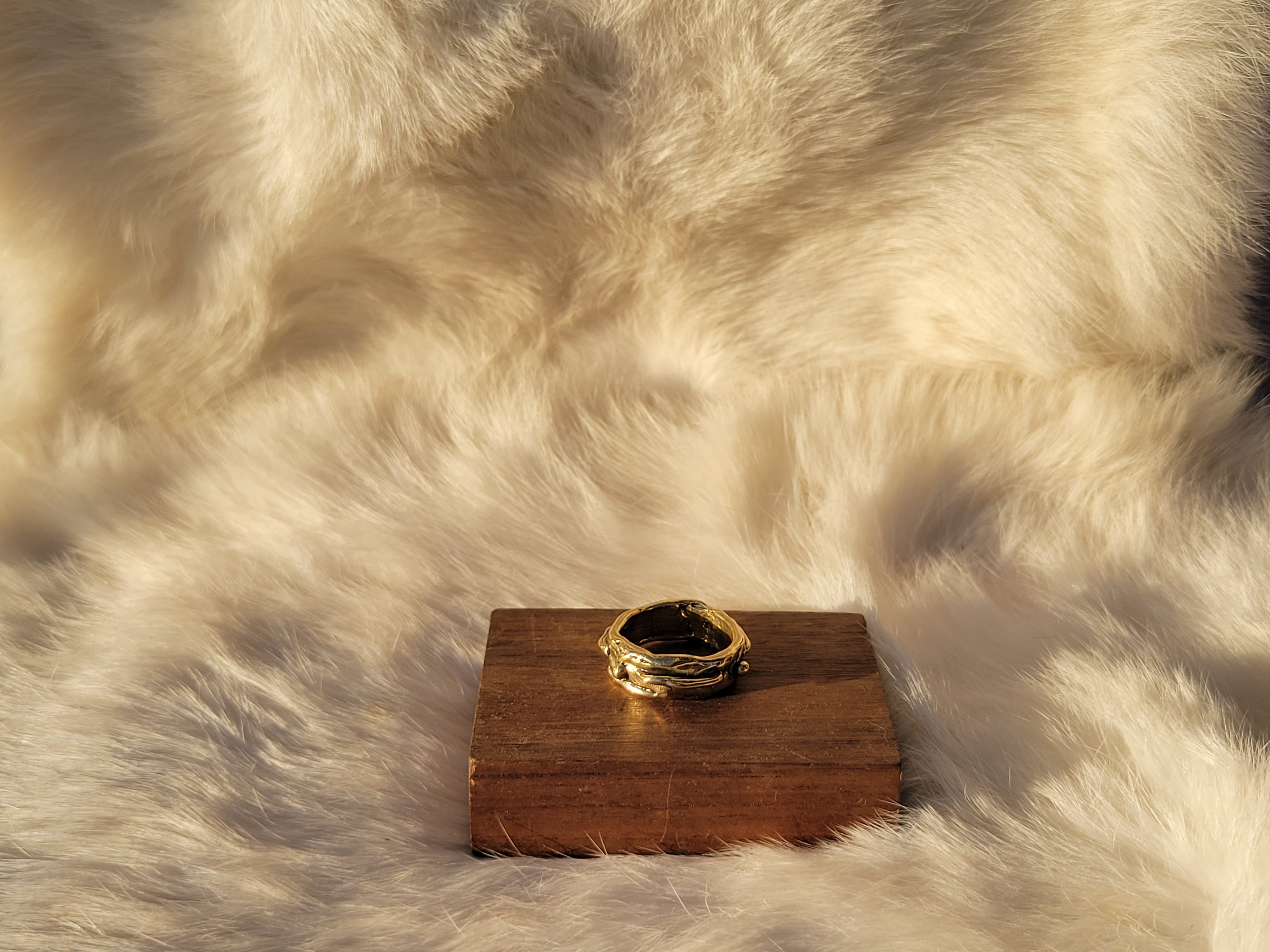 Gilded Constilation Ring