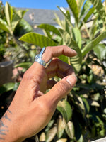 Alligator Bite Ring -Smooth-