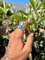 Alligator Bite Ring -Smooth-