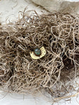 Labradorite Scarab Beetle Brass Ring 1