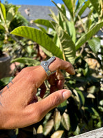 Alligator Bite Ring -Textured-