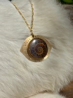 Ammonite Root Stabilizer Necklace No. 1