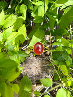 Couragous Carnelian Cuff #1