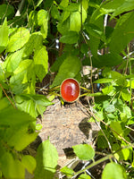 Couragous Carnelian Cuff #1