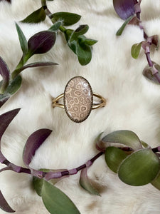 Fossilized Coral From Long Ago Cuff