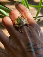 Catfish Bite Ring
