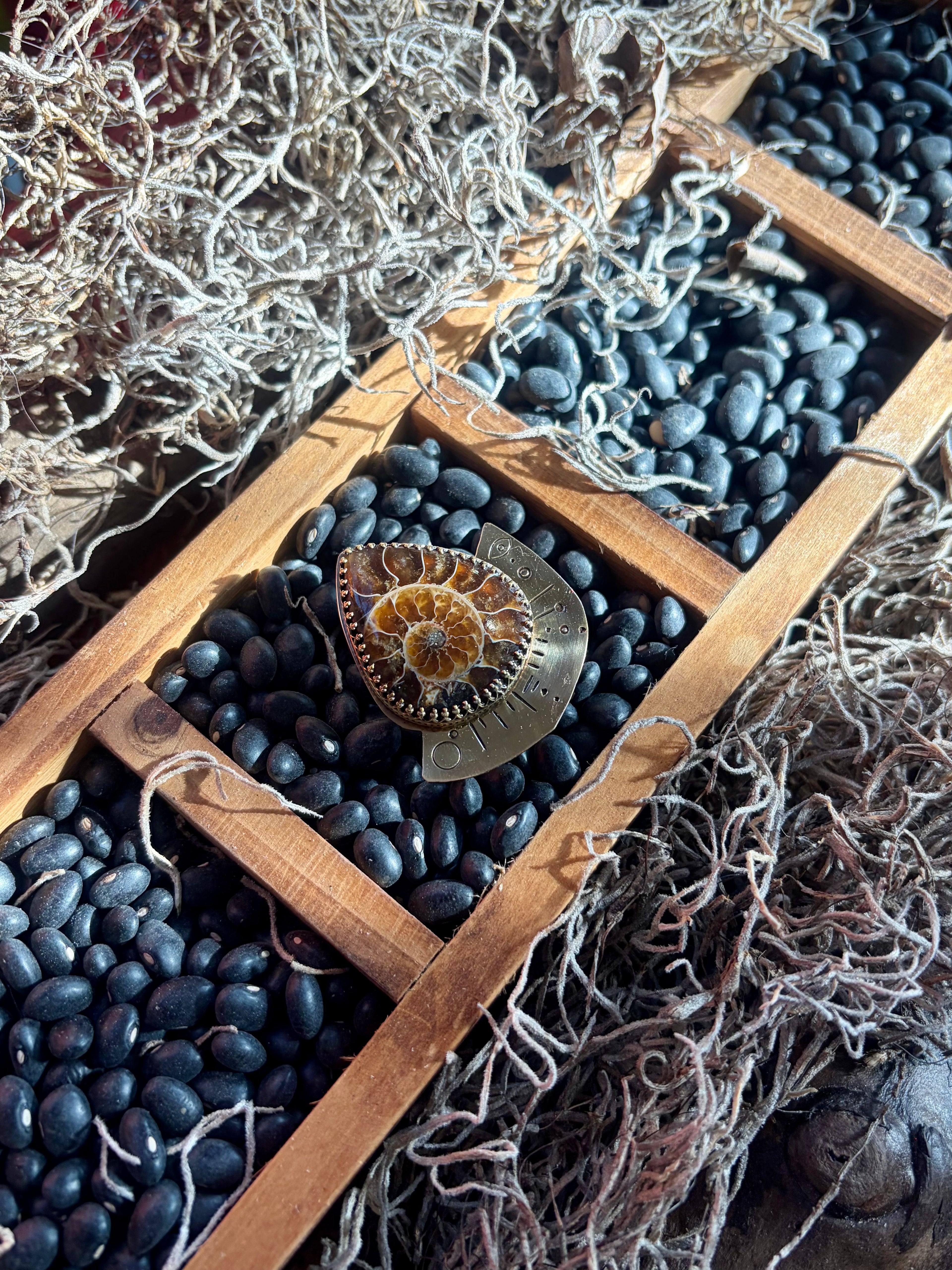 Ammonite Root Stabilizer Ring