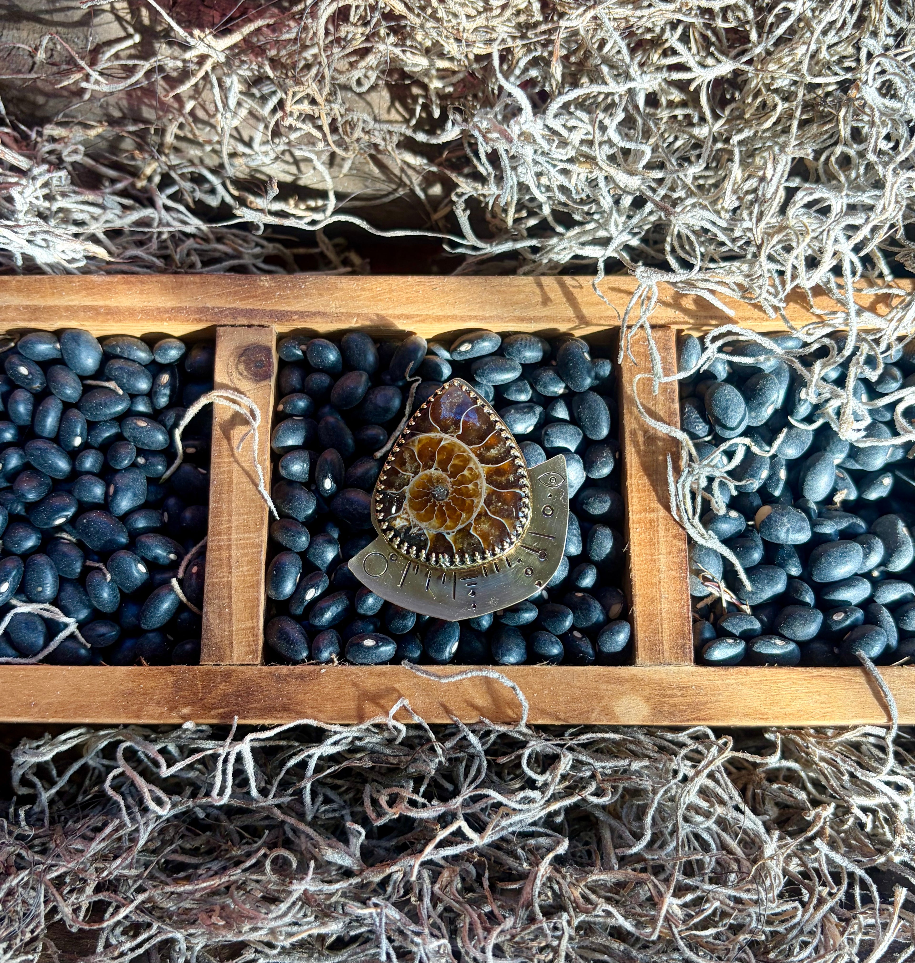 Ammonite Root Stabilizer Ring