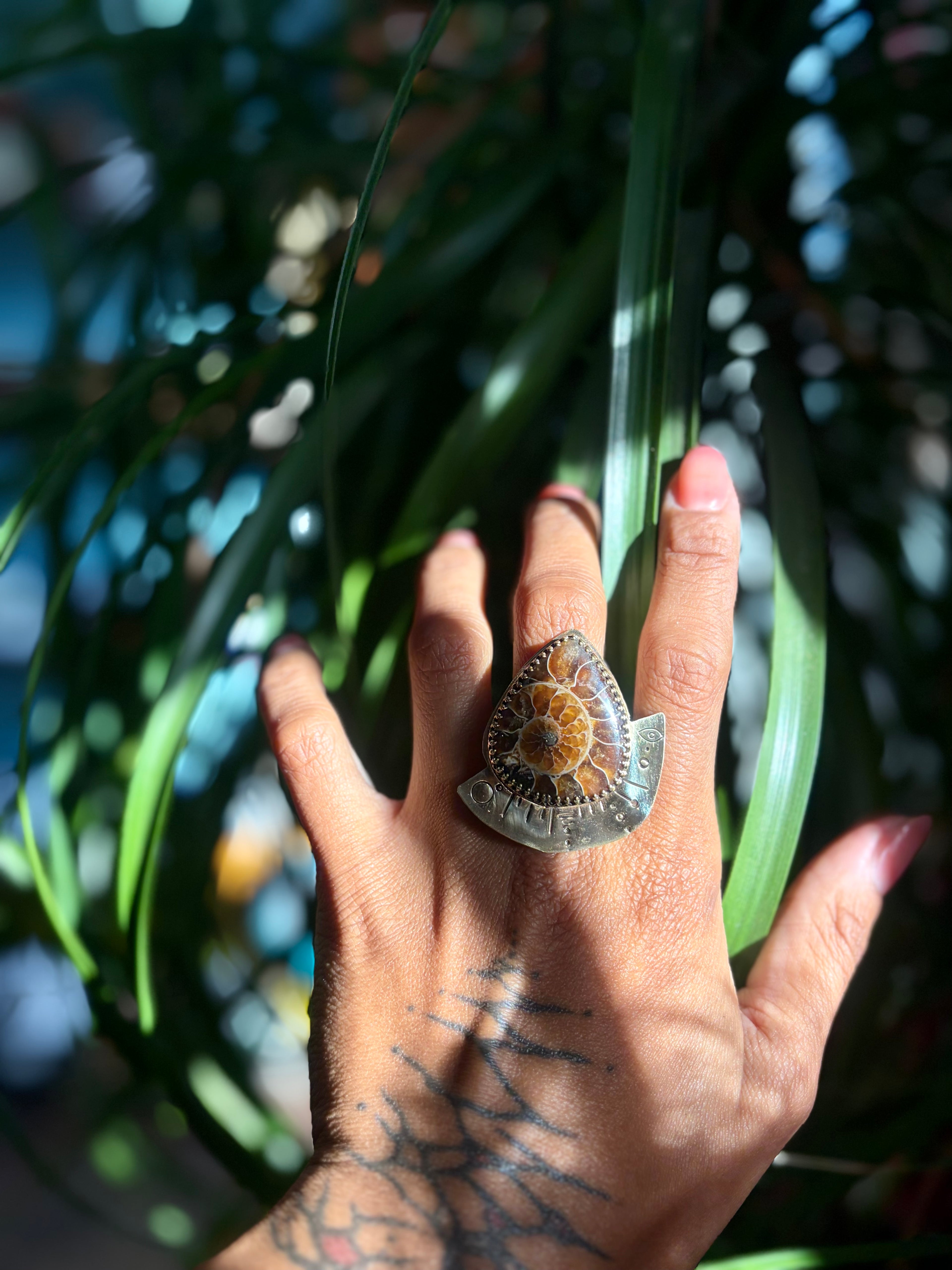 Ammonite Root Stabilizer Ring