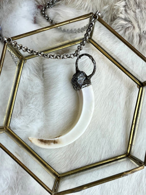 Wild Boar Tusk This Is A Warning Necklace