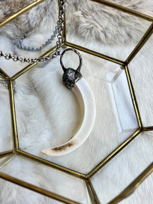 Wild Boar Tusk This Is A Warning Necklace