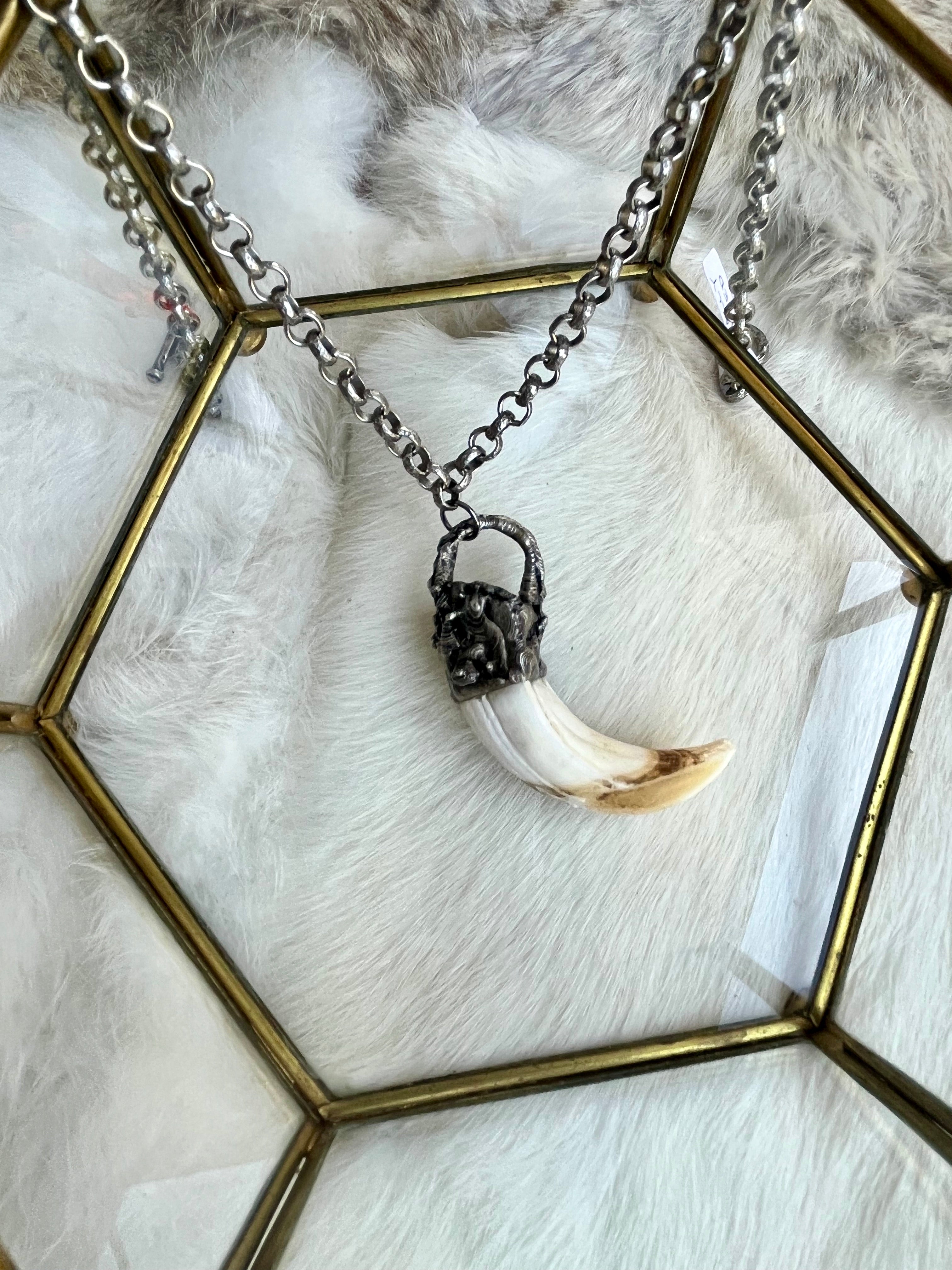 Mini Wild Boar Tusk Necklace