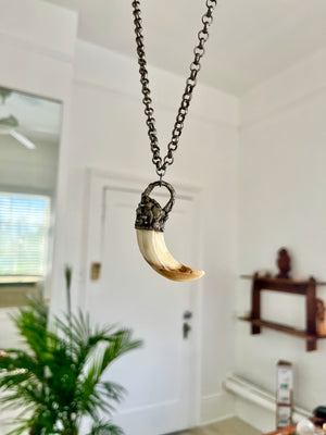 Mini Wild Boar Tusk Necklace