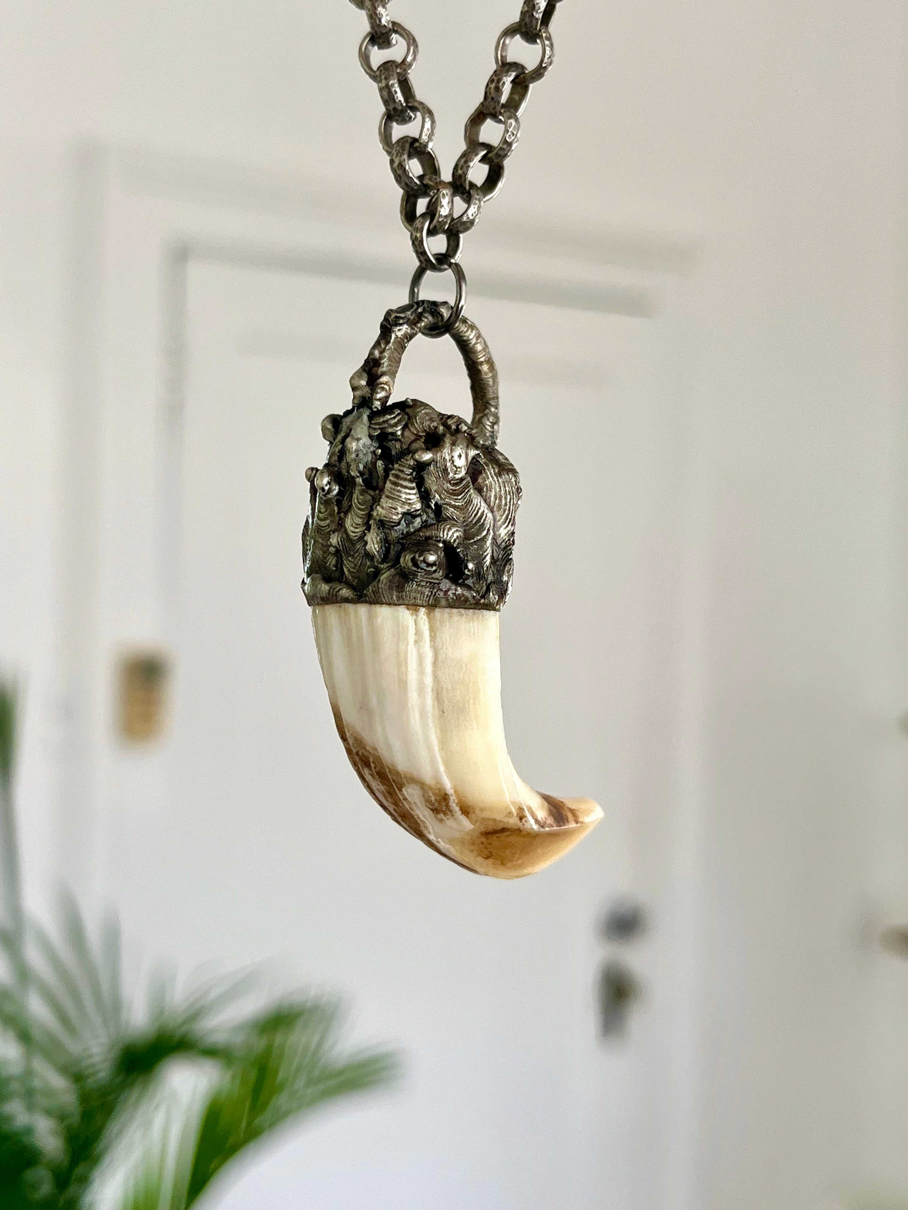 Mini Wild Boar Tusk Necklace