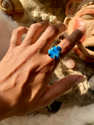 Turquoise 6 Prong Ring