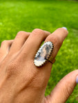 Dendritic Agate Stability in Strife Ring