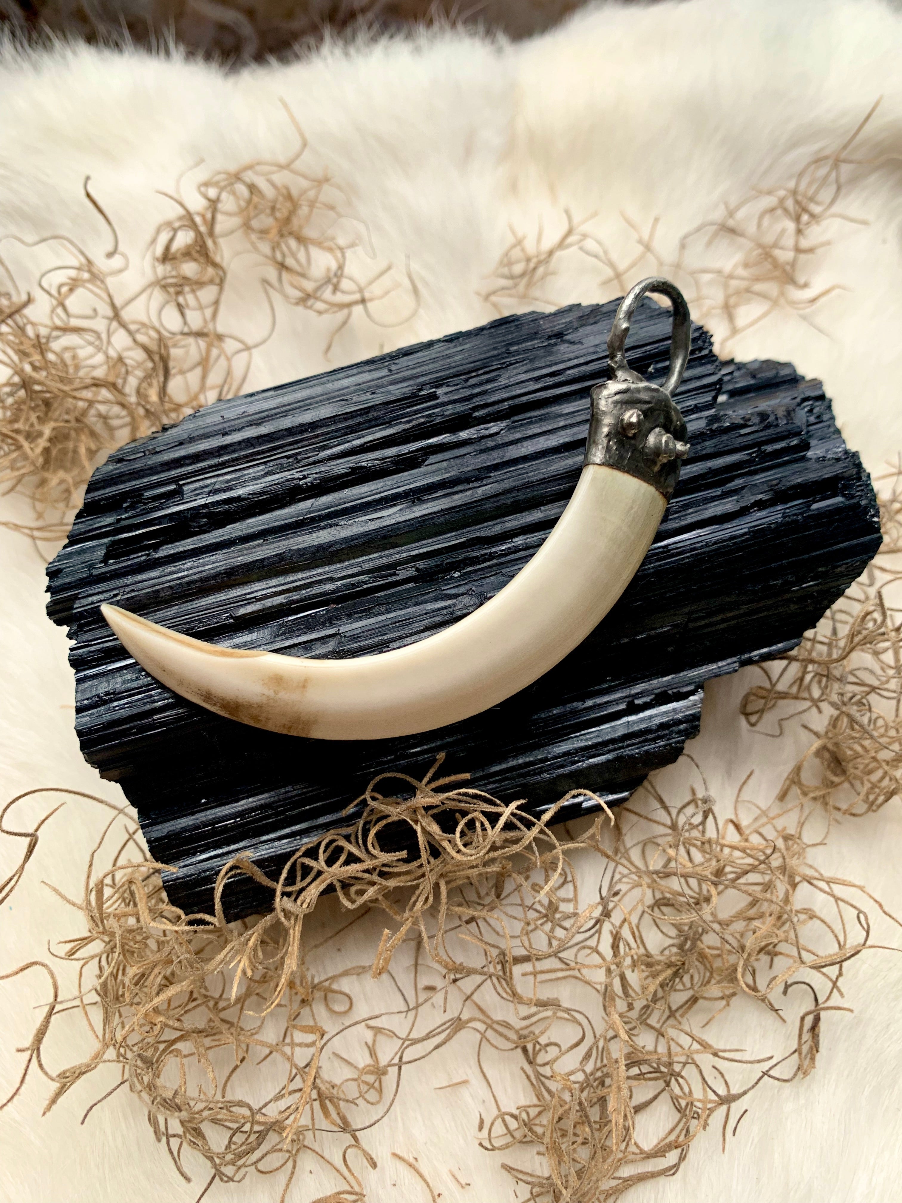 Wild Boar Tusk This Is a Warning Necklace – Bayou Brass